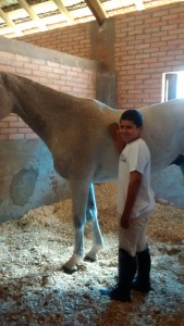 IMG_20150307_102609220