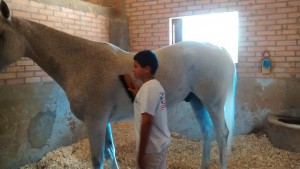 IMG_20150307_102642949