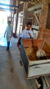 IMG_20150307_102727128_HDR